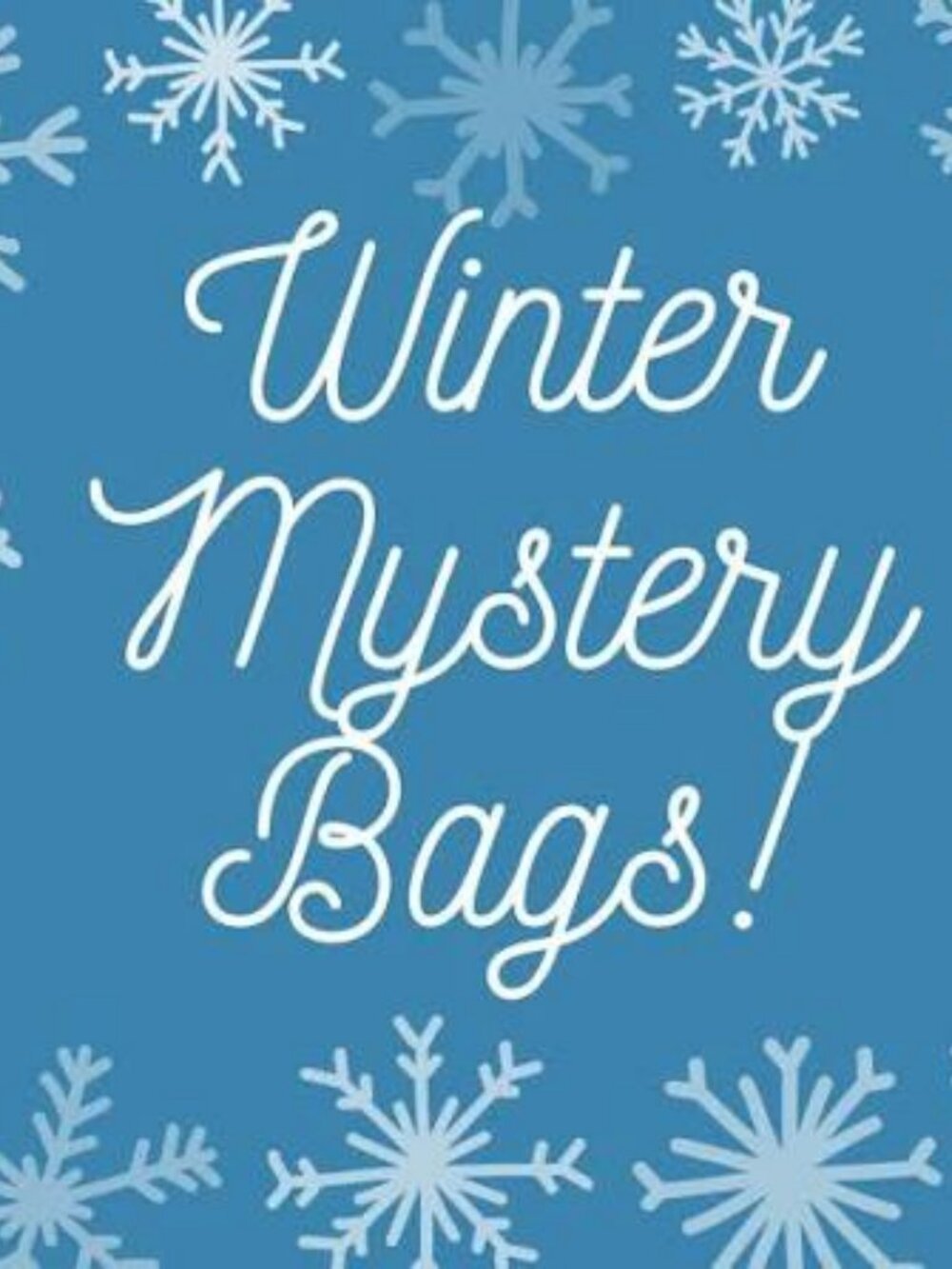 ❄️ $45 PREMIUM WINTER MYSTERY BAG ❄️ Size M / 6 (NWT & Like New!)